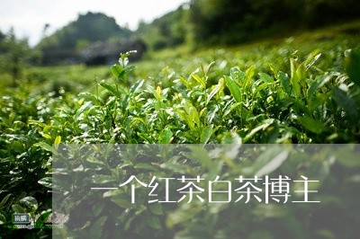 一个红茶白茶博主/2023100751635