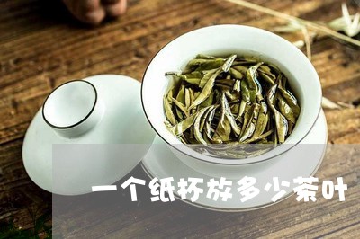 一个纸杯放多少茶叶/2023042537251