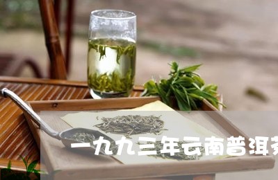 一九九三年云南普洱茶/2023100665036