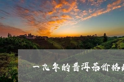 一九年的普洱茶价格如何/2023082869605