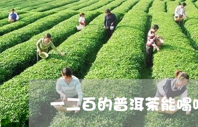 一二百的普洱茶能喝吗/2023072337959