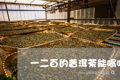 一二百的普洱茶能喝吗/2023092803939