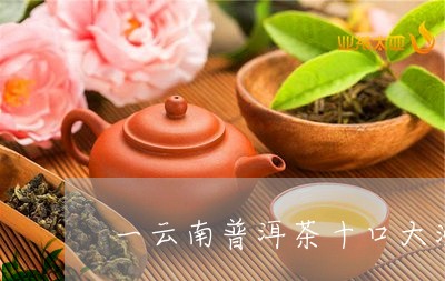 一云南普洱茶十口大洲/2023092769372