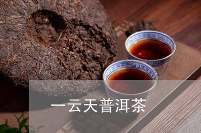 一云天普洱茶/2023042607917