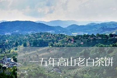 一五年高山老白茶饼/2023071485242