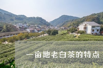 一亩地老白茶的特点/2023071440594