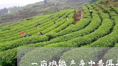 一亩地能产多少普洱茶/2023092655270