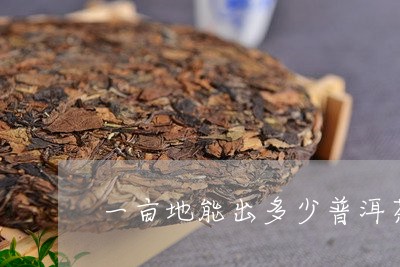 一亩地能出多少普洱茶/2023061450574