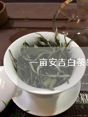 一亩安吉白茶的利润/2023121674037