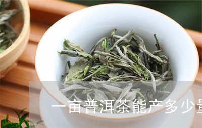 一亩普洱茶能产多少量/2023061460603