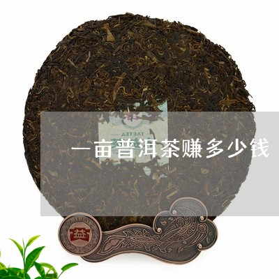 一亩普洱茶赚多少钱/2023042996038