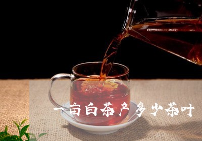 一亩白茶产多少茶叶/2023121685170