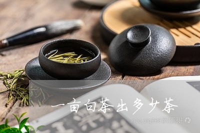 一亩白茶出多少茶/2023061408480