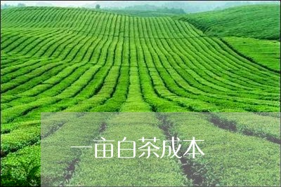 一亩白茶成本/2023051282504