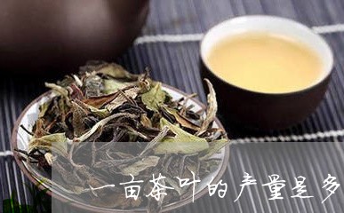 一亩茶叶的产量是多少/2023061162727