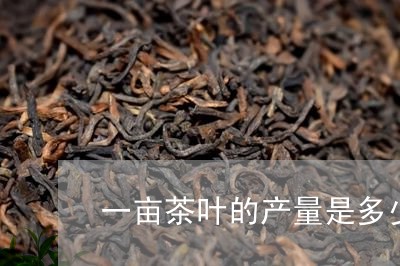 一亩茶叶的产量是多少/2023092327462