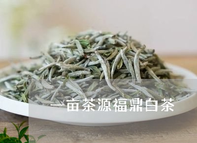 一亩茶源福鼎白茶/2023090949582