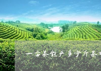 一亩茶能产多少斤茶叶/2023092395138