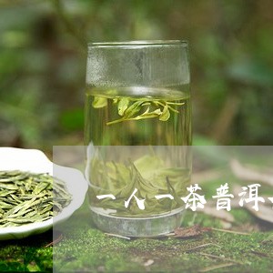 一人一茶普洱茶/2023112684049