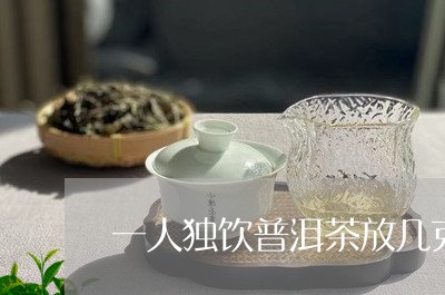 一人独饮普洱茶放几克/2023120618694