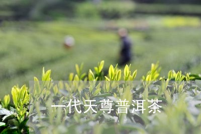 一代天尊普洱茶/2023112696027