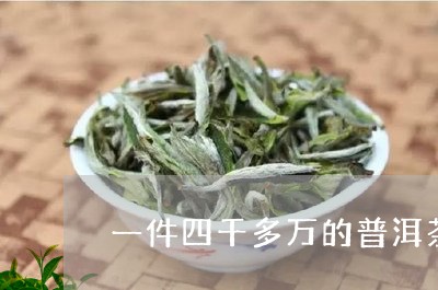 一件四千多万的普洱茶/2023072215957