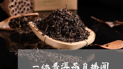 一休普洱茶直播间/2023120392704