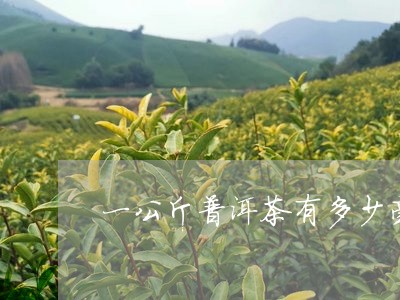 一公斤普洱茶有多少毫升/2023082749793