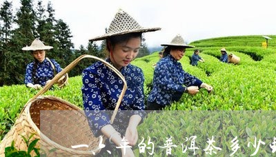 一六年的普洱茶多少钱/2023072130814