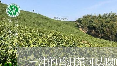 一冲的普洱茶可以喝吗/2023061589272