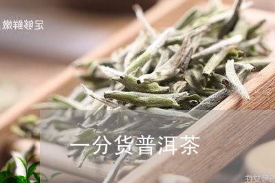 一分货普洱茶/2023090671704