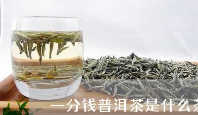 一分钱普洱茶是什么茶/2023072206138