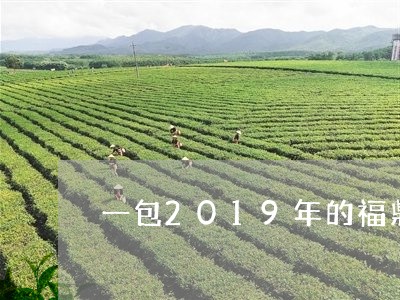 一包2019年的福鼎白茶/2023111635058