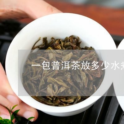 一包普洱茶放多少水煮/2023120605038