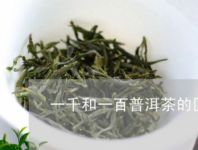 一千和一百普洱茶的区别/2023122092948