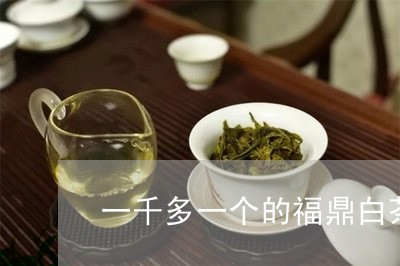 一千多一个的福鼎白茶/2023120702845