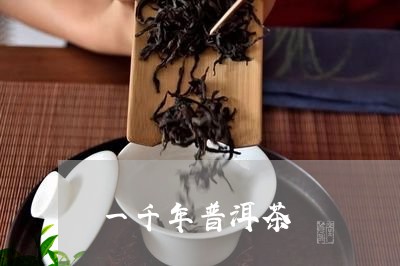 一千年普洱茶/2023091186149