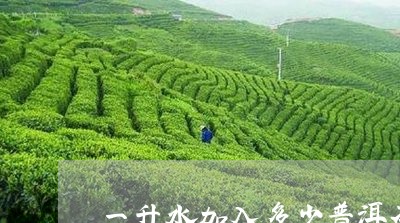 一升水加入多少普洱茶/2023072402514