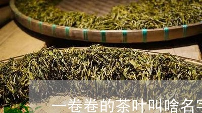 一卷卷的茶叶叫啥名字/2023092382815