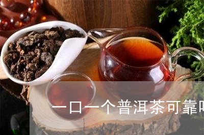 一口一个普洱茶可靠吗/2023061458505