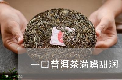 一口普洱茶满嘴甜润/2023120548140