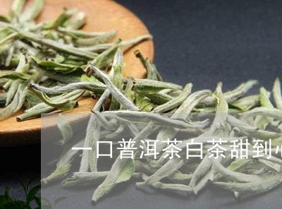 一口普洱茶白茶甜到心/2023072273814