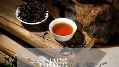 一古树茶/2023110894047