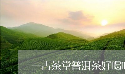 一古茶堂普洱茶好喝吗/2023062122725