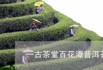 一古茶堂百花潭普洱茶/2023061593968