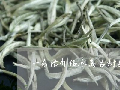 一句话介绍冰岛古树茶/2023092318560