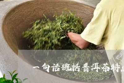 一句话概括普洱茶特点/2023092581507