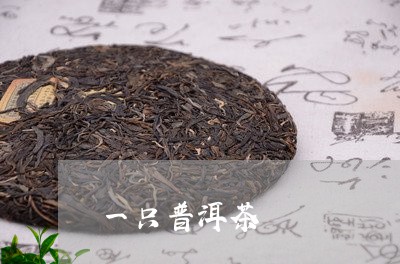 一只普洱茶/2023102560482