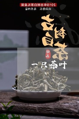 一只茶叶/2023121859350