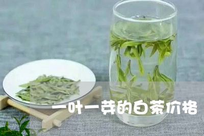 一叶一芽的白茶价格/2023121637170